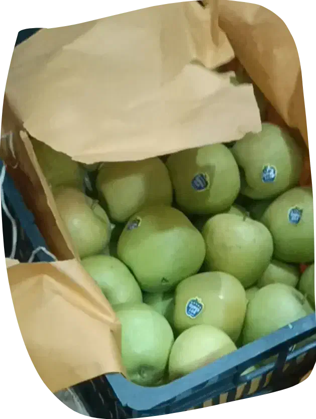 سیب پاییزی باغات اشنویه|خوردنی و آشامیدنی|اشنویه, |دیوار