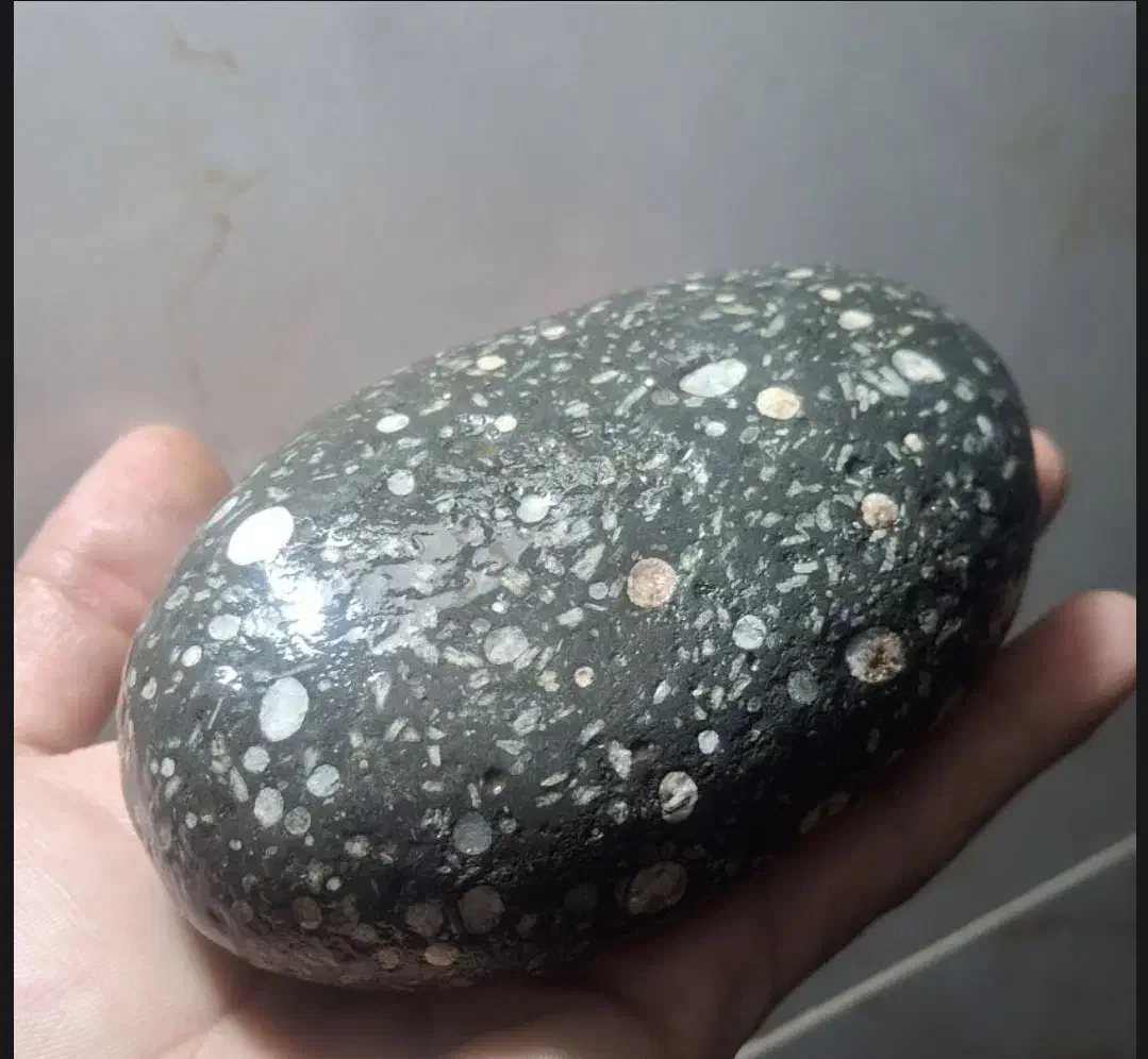 کارشناسی و خرید سنگ شهابسنگ یشم یاقوت زمرد کهربا|بدلیجات|کرج, ساسانی (قلمستان)|دیوار