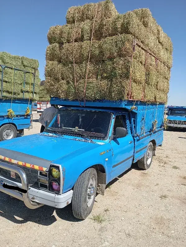 خریدار یونجه و علف هستم|خدمات باغبانی و درختکاری|اشنویه, |دیوار