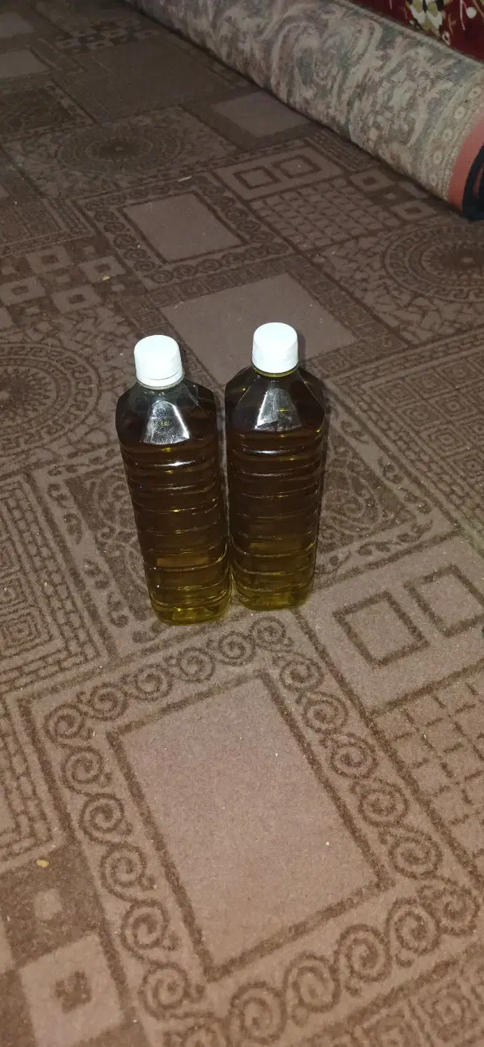 روغن زیتون ضمانتی و اصل|خوردنی و آشامیدنی|فاضل آباد, |دیوار