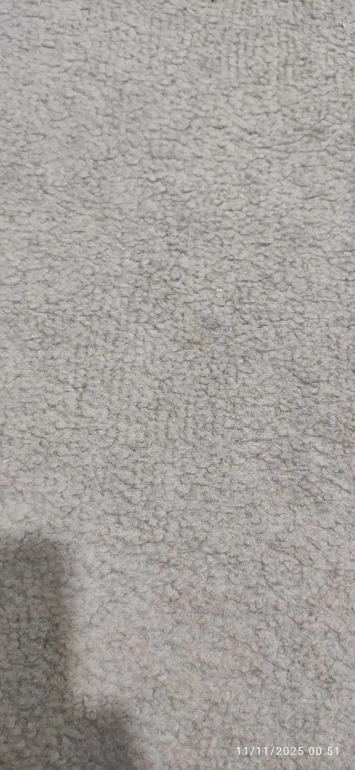 موکت ظریف و پالاز|موکت|بندرعباس, |دیوار