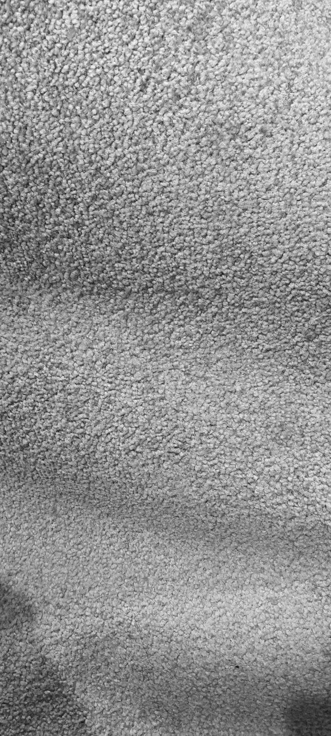 پالاز موکت|موکت|خرمشهر, |دیوار