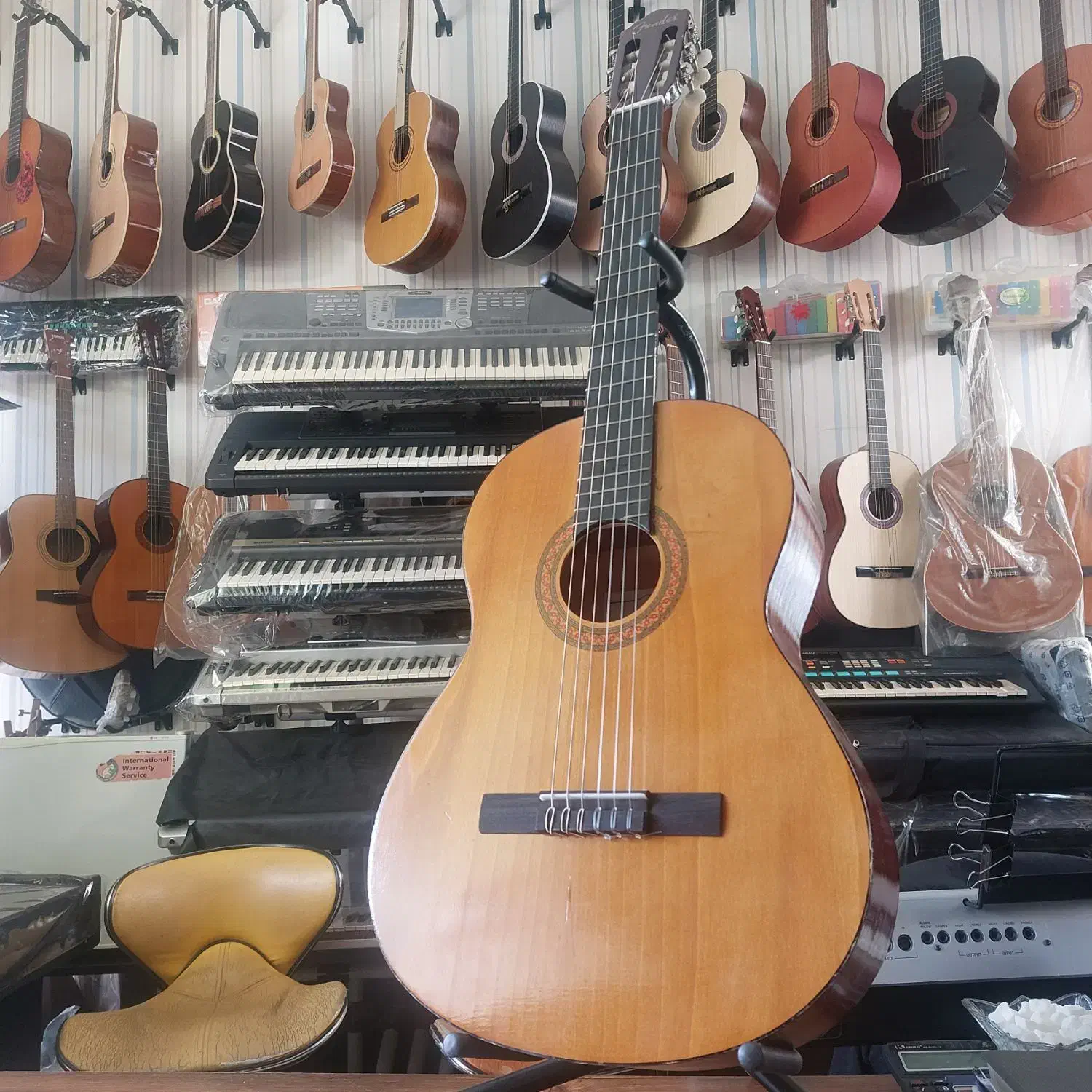 گیتار فندر در موزیک ارژنگ|گیتار، بیس، امپلیفایر|پردیس, فاز ۳|دیوار