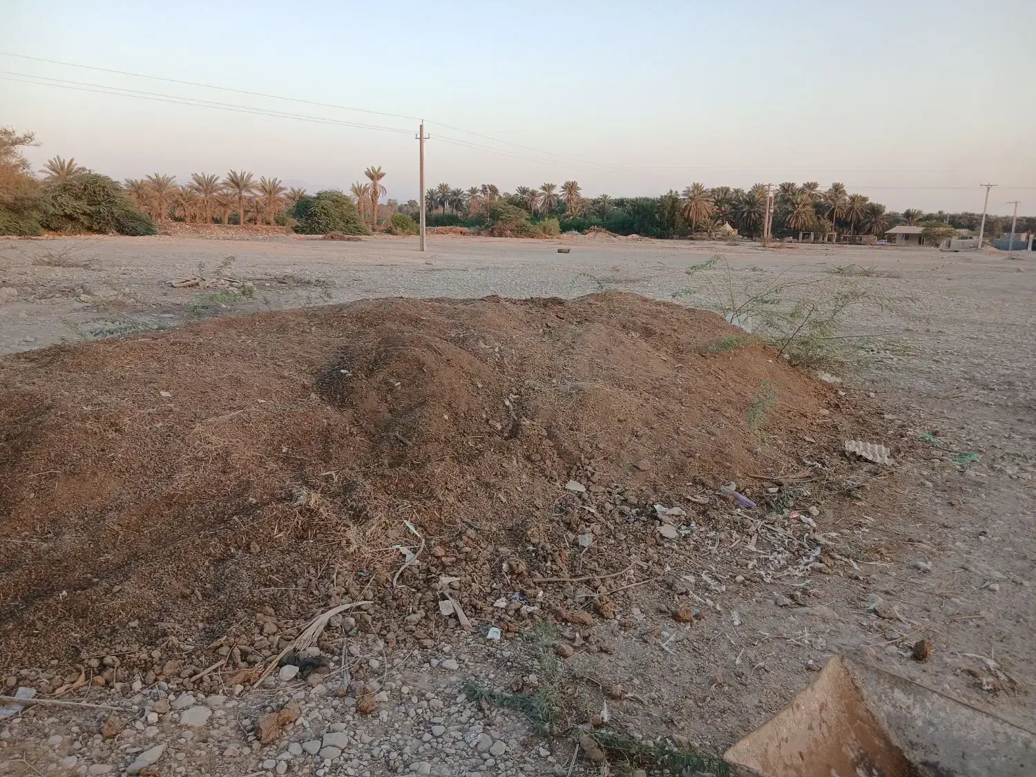 کود حیوانی|خدمات باغبانی و درختکاری|تخت, |دیوار