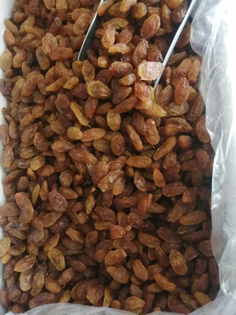 مغز و آجیل|خوردنی و آشامیدنی|تهران, مجیدیه|دیوار