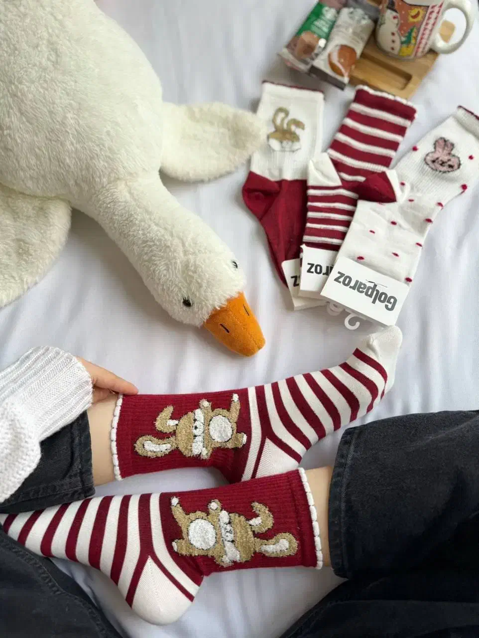 جوراب|لباس|زنجان, |دیوار