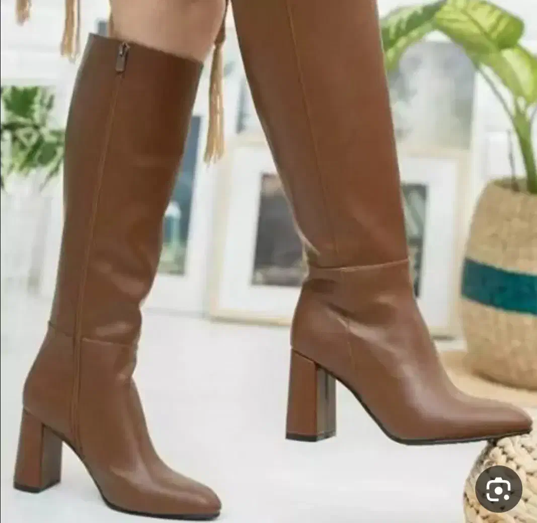 بوت|کیف، کفش، کمربند|دورود, |دیوار