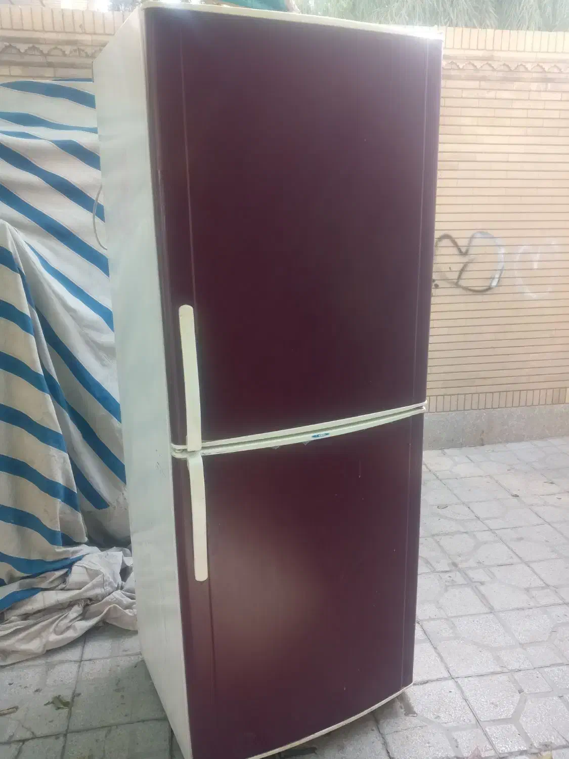 یخچال فریز|یخچال و فریزر|شیراز, نصر|دیوار