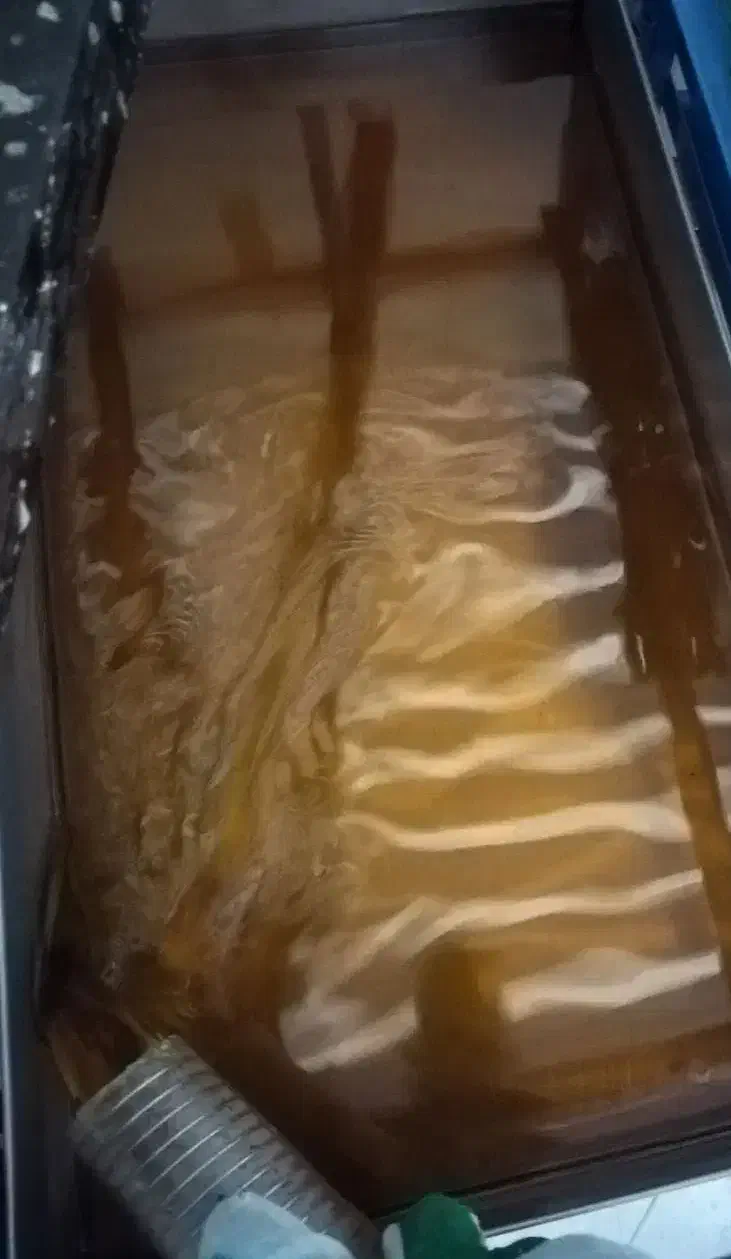 شیره نبات|عمده‌فروشی|بجنورد, |دیوار