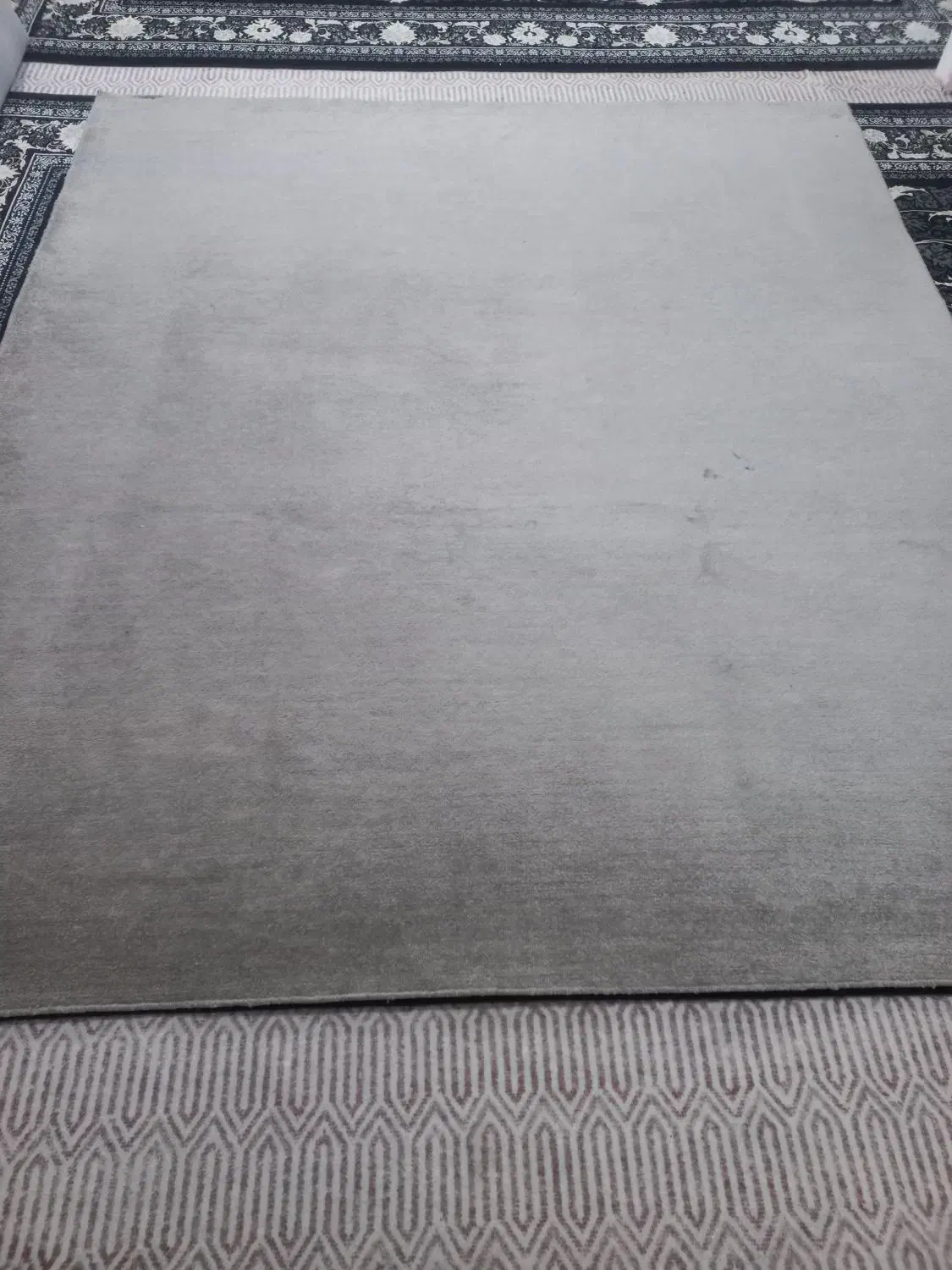 موکت پالاز|موکت|مشهد, طبرسی شمالی|دیوار