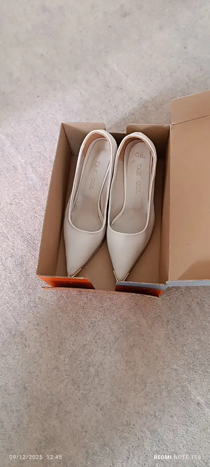 کفش مجلسی|کیف، کفش، کمربند|شیراز, کوشک میدان|دیوار