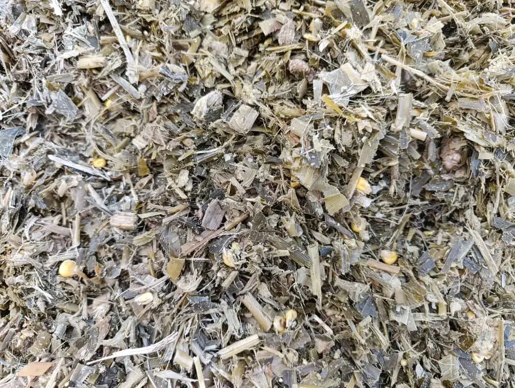 فروش تفاله چغندر کنگاور صحنه تویسرکان اسدآباد|عمده‌فروشی|کنگاور, |دیوار