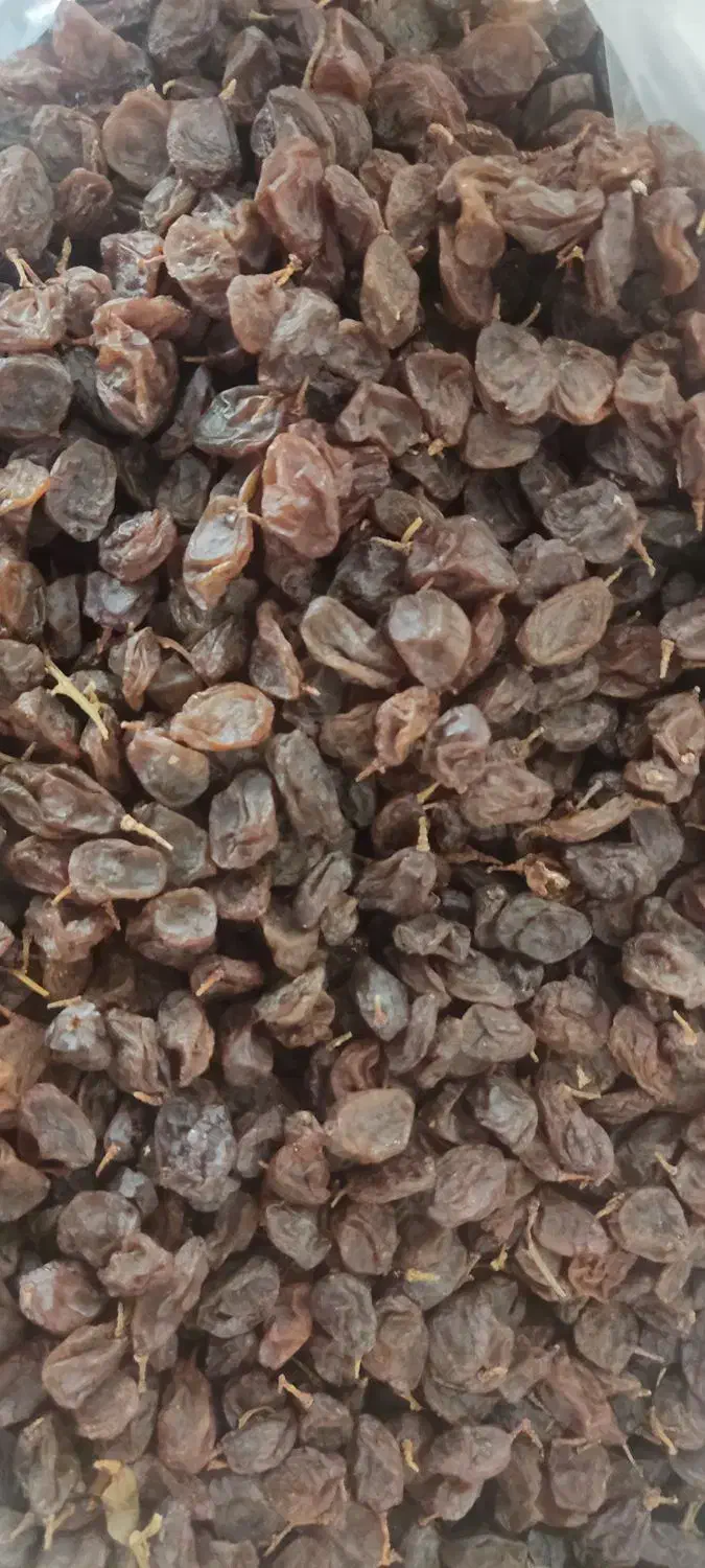 کشمش افتابی|خوردنی و آشامیدنی|شهرکرد, |دیوار