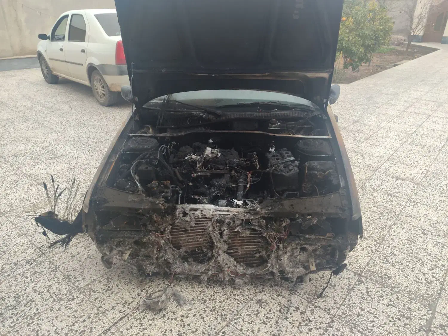 مزایده خودرو|خودرو سواری و وانت|گنبد کاووس, |دیوار