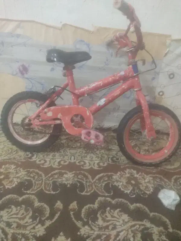 دوچرخه|دوچرخه، اسکیت، اسکوتر|کوهمره, |دیوار