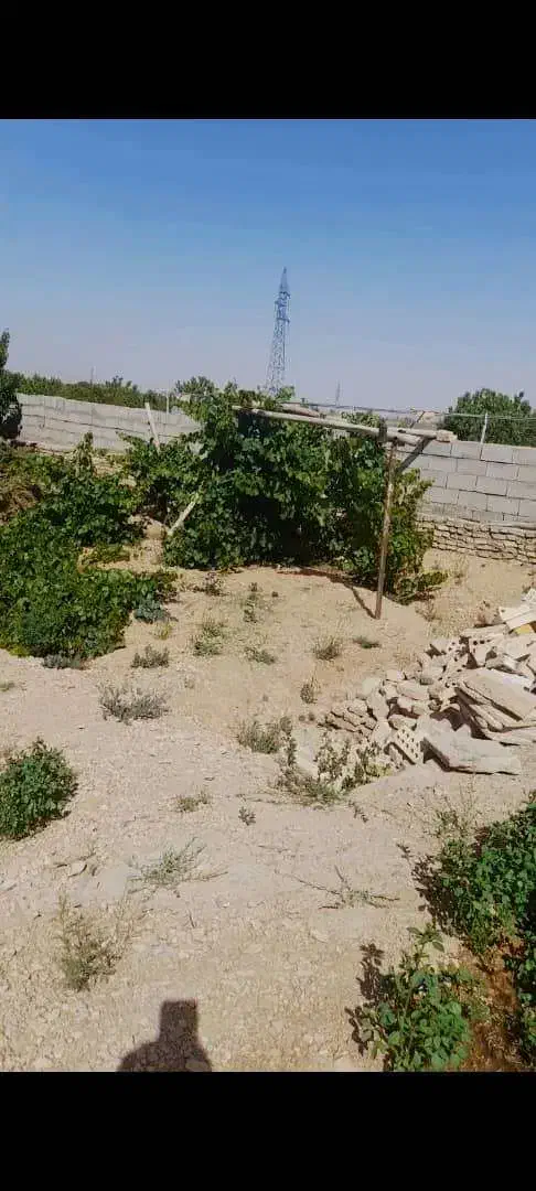 زمین مسکن ملی|فروش زمین و ملک کلنگی|طبس, |دیوار