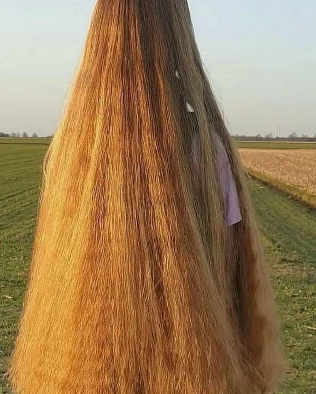 کوتاهی فروش مرکز معتبرمو فقط فردا|آرایشی، بهداشتی، درمانی|گیلان غرب, |دیوار