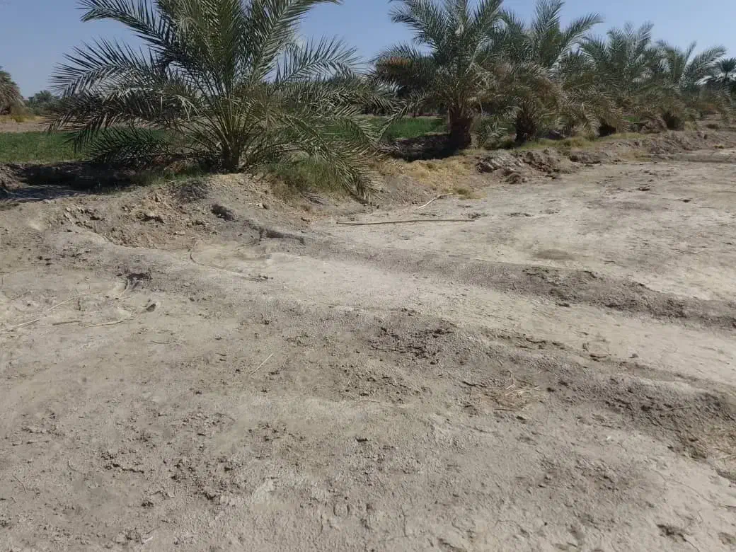 فروش زمین کشاورزی 4000متر|فروش دفتر صنعتی، کشاورزی، تجاری|ایرانشهر, |دیوار