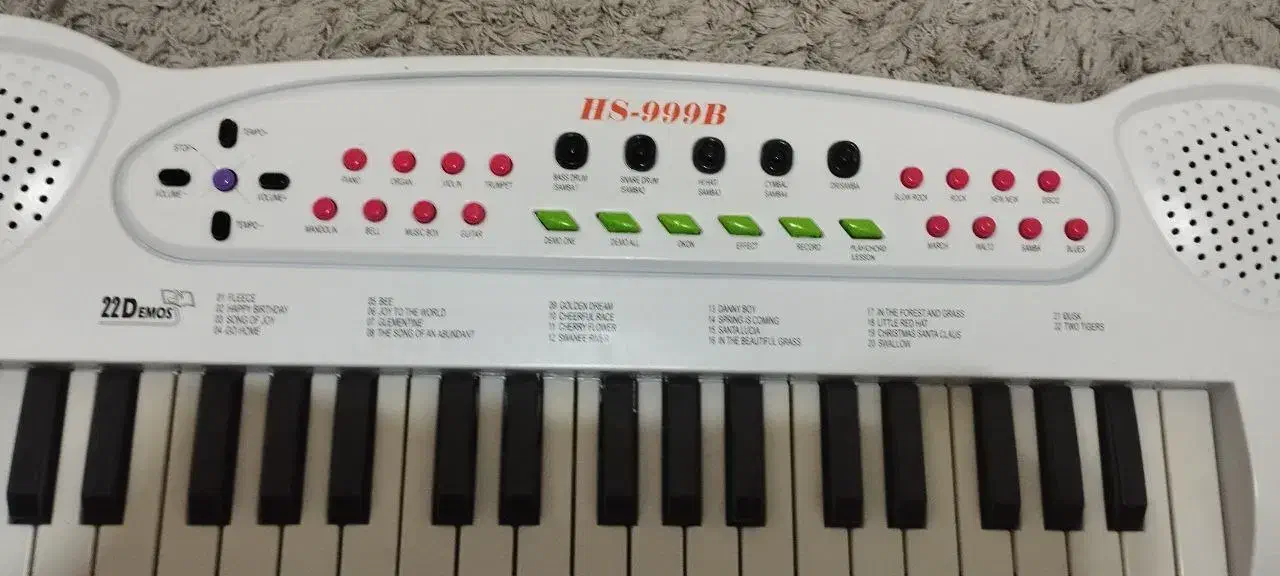 ارگ|اسباب‌‌بازی|رشت, گلسار|دیوار