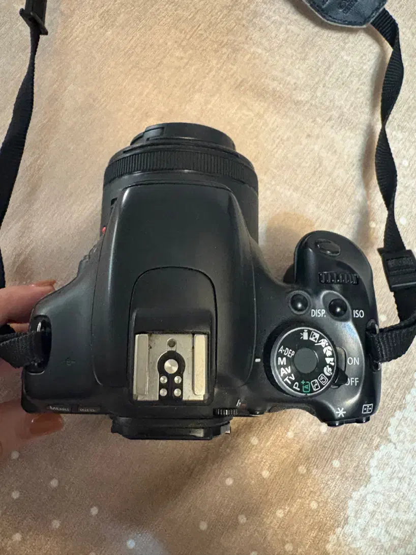 دوربین عکاسی|دوربین عکاسی و فیلمبرداری|گرگان, |دیوار