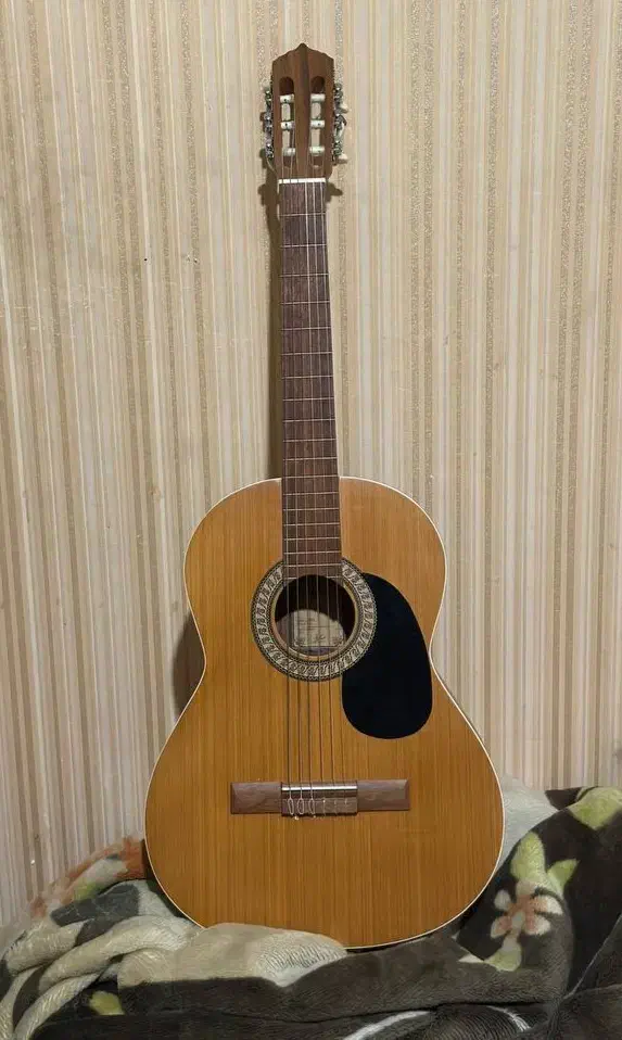 گیتار پارسی m5 نو|گیتار، بیس، امپلیفایر|نیشابور, شهرک قدس|دیوار