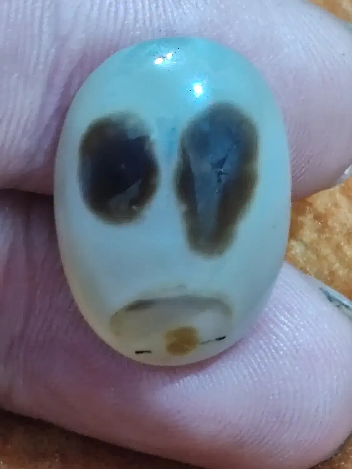 سنگ شجر طبیعی|بدلیجات|مشهد, یوسفیه (شهرک غرب)|دیوار