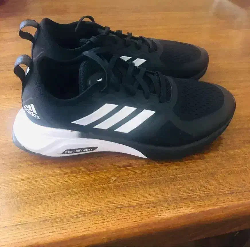 کفش|کیف، کفش، کمربند|رشت, معلم|دیوار