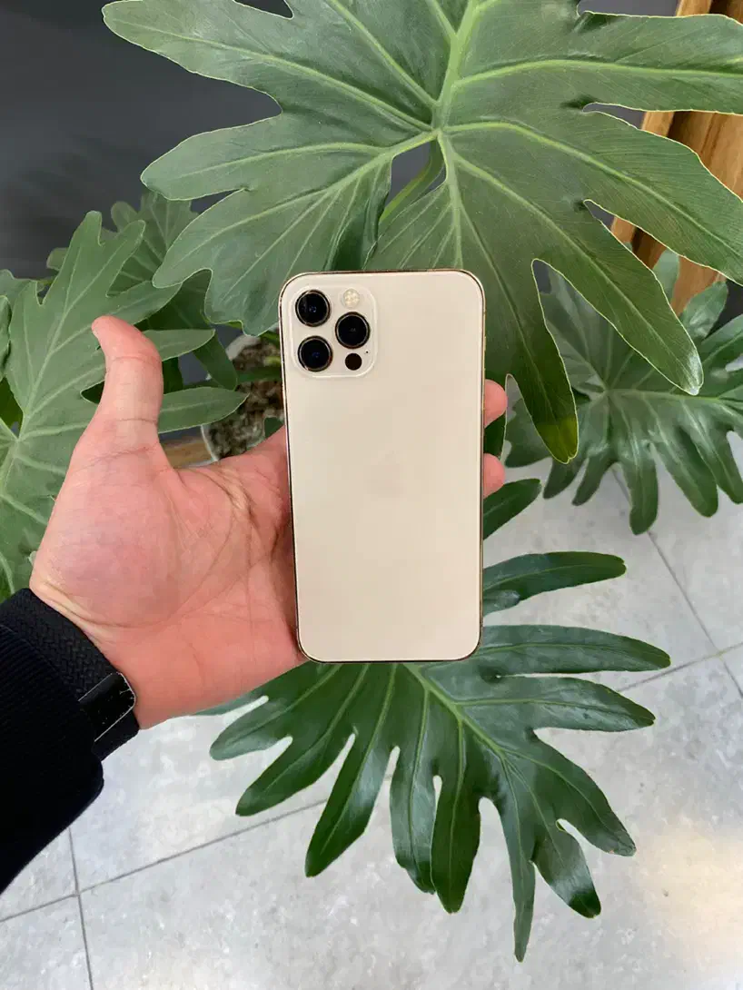 12pro 256 /LLA|موبایل|تهران, حصار بوعلی|دیوار