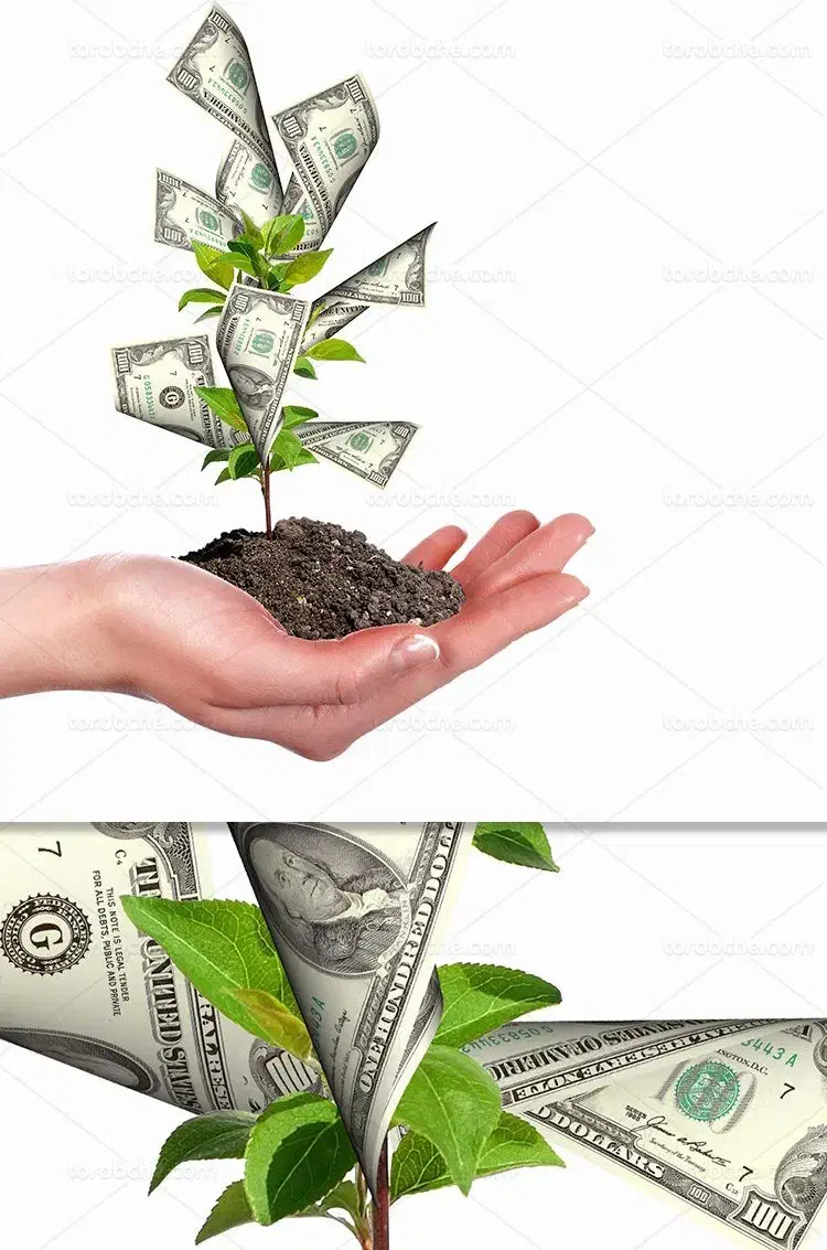 نیازبه سرمایه گذار(سرمایه شما8ماهه دوبرابرمیشود )|خدمات مالی، حسابداری، بیمه|قم, پردیسان|دیوار