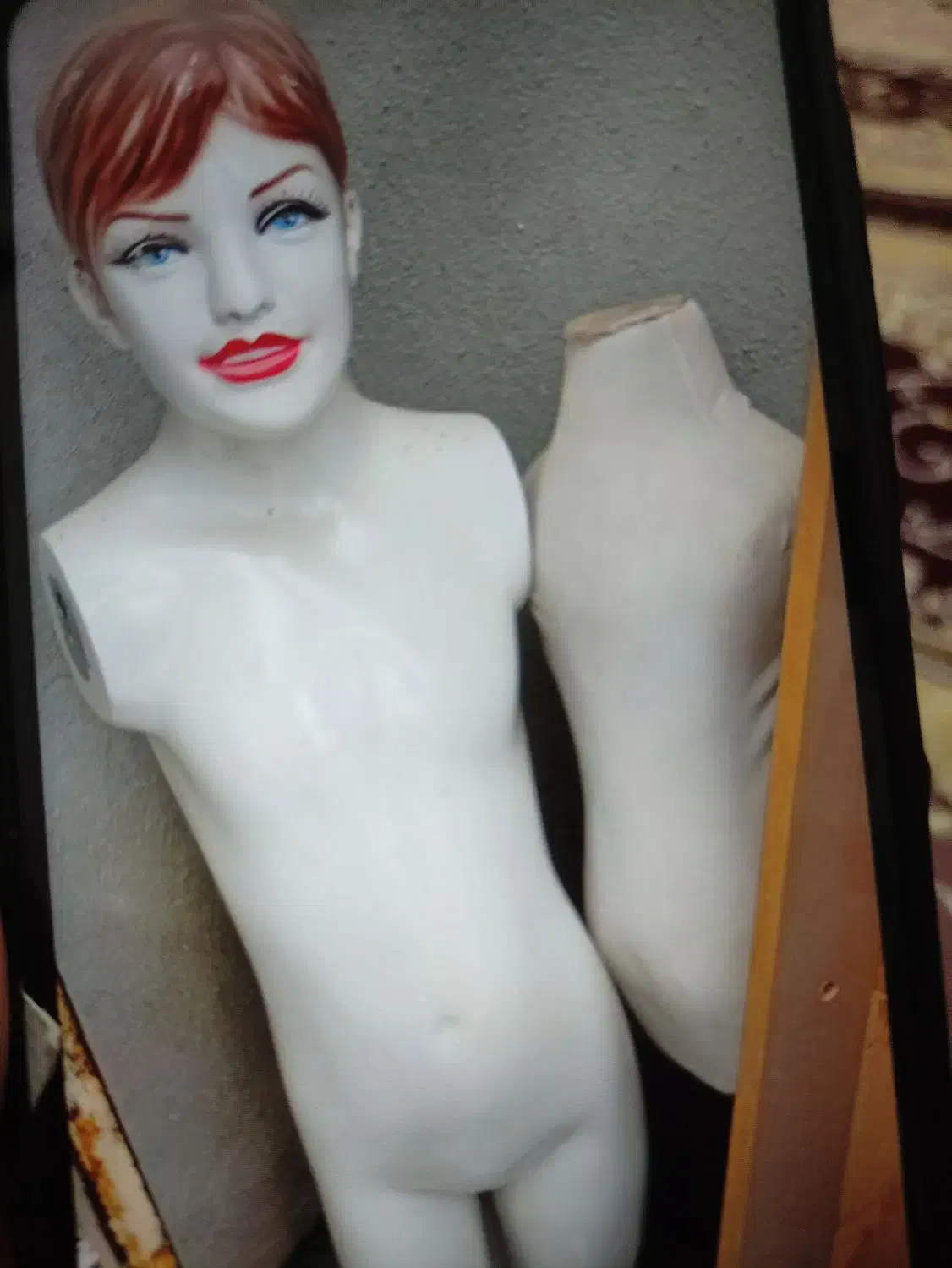 رگال و مانکن|فروشگاه و مغازه|سنندج, |دیوار