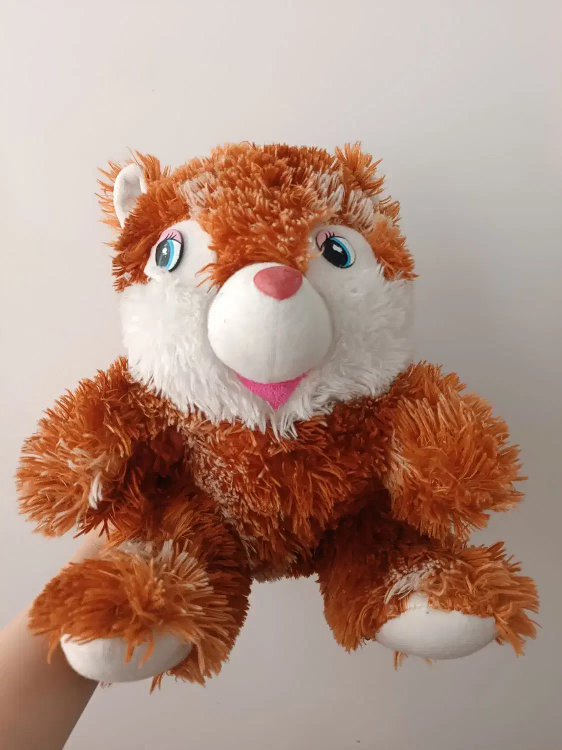 عروسک سنجاب نو|اسباببازی|بوکان, |دیوار