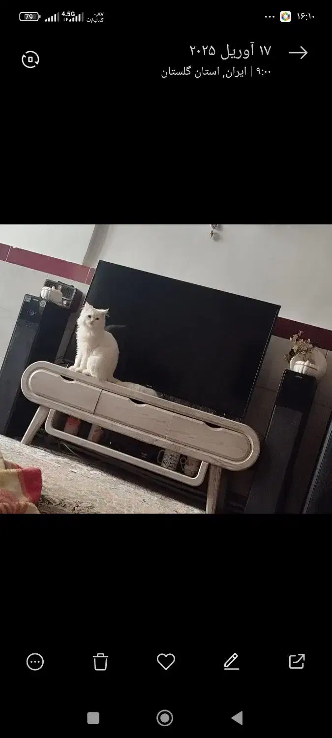 میز تلوزیون سالم بدون شکستگی فروش فوری|میز تلویزیون|گرگان, |دیوار