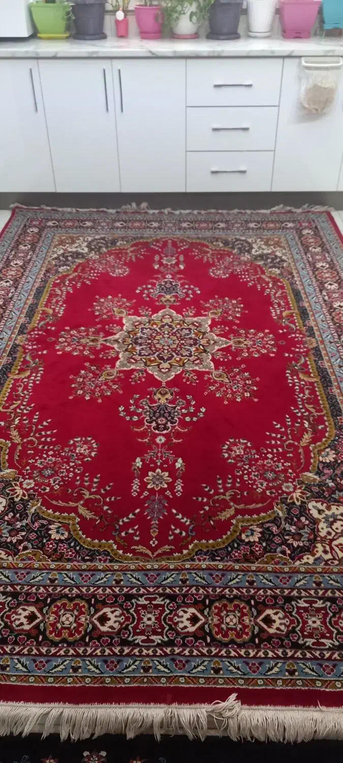 فرش ۶متری|فرش|قدس, شهرقدس|دیوار