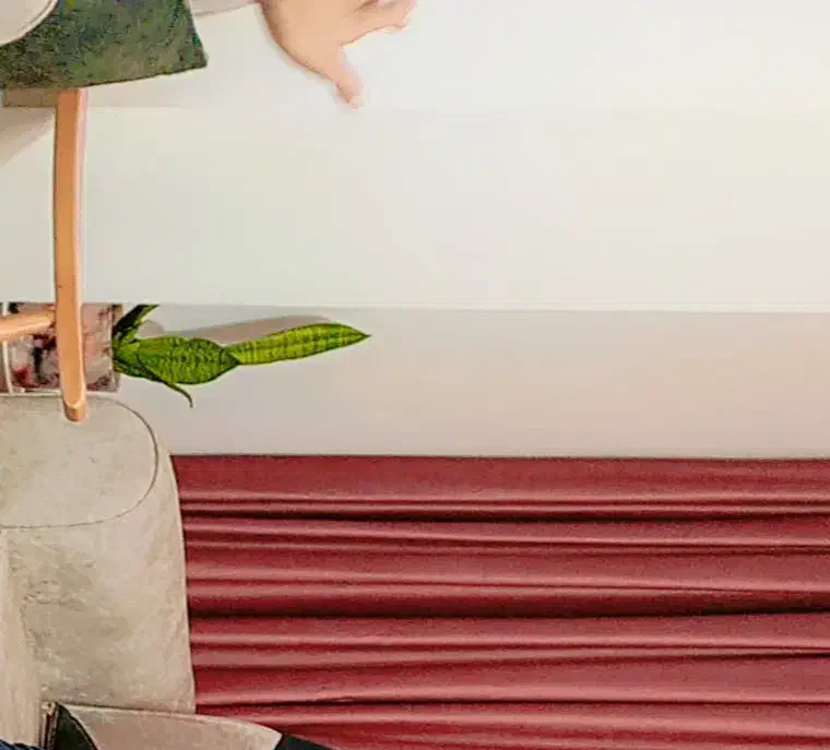 پرده کناره مخمل|پرده، رانر، رومیزی|شاهین‌شهر, گرگاب|دیوار