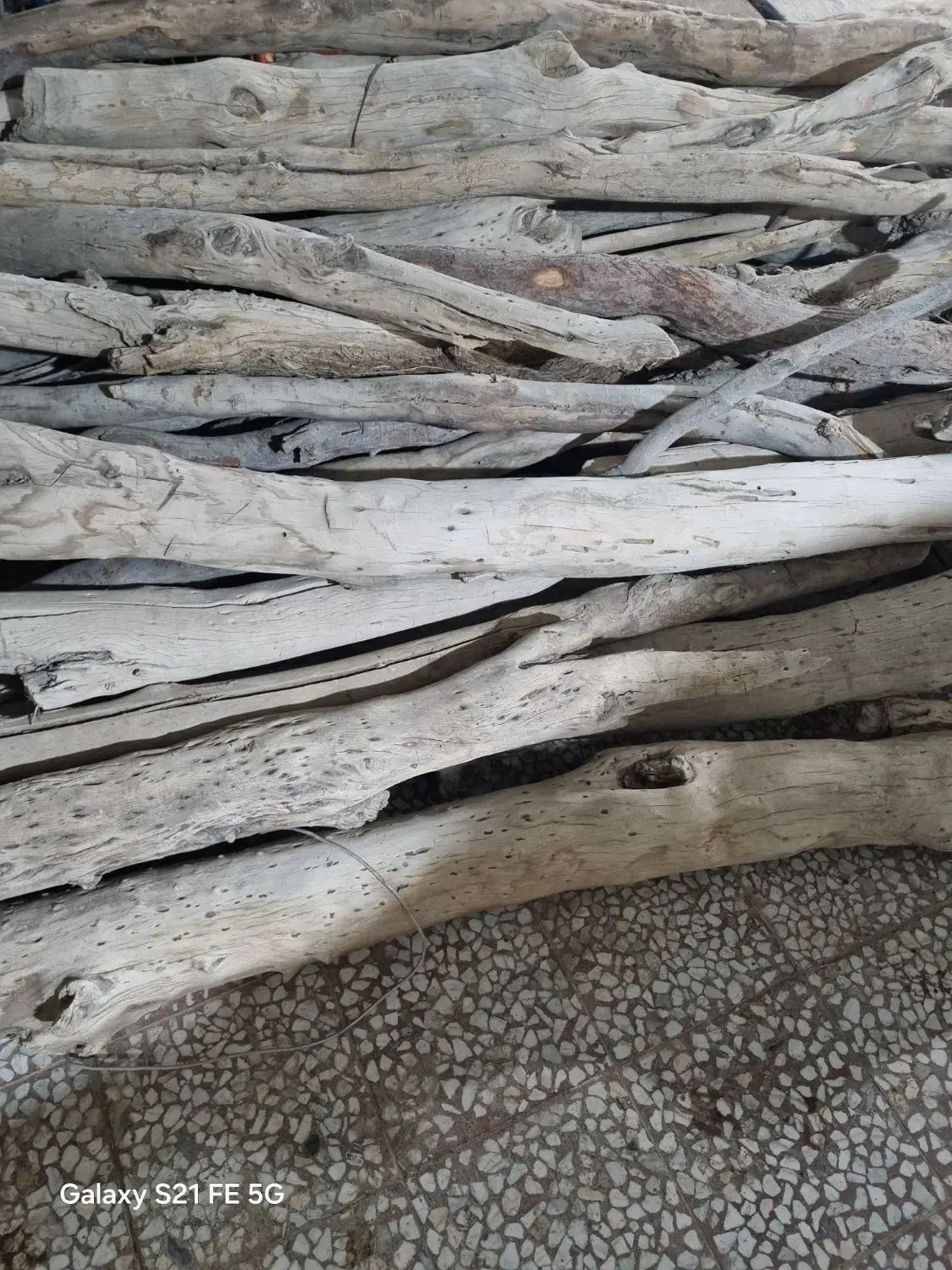 چوب هیزم|خدمات باغبانی و درختکاری|زابل, |دیوار