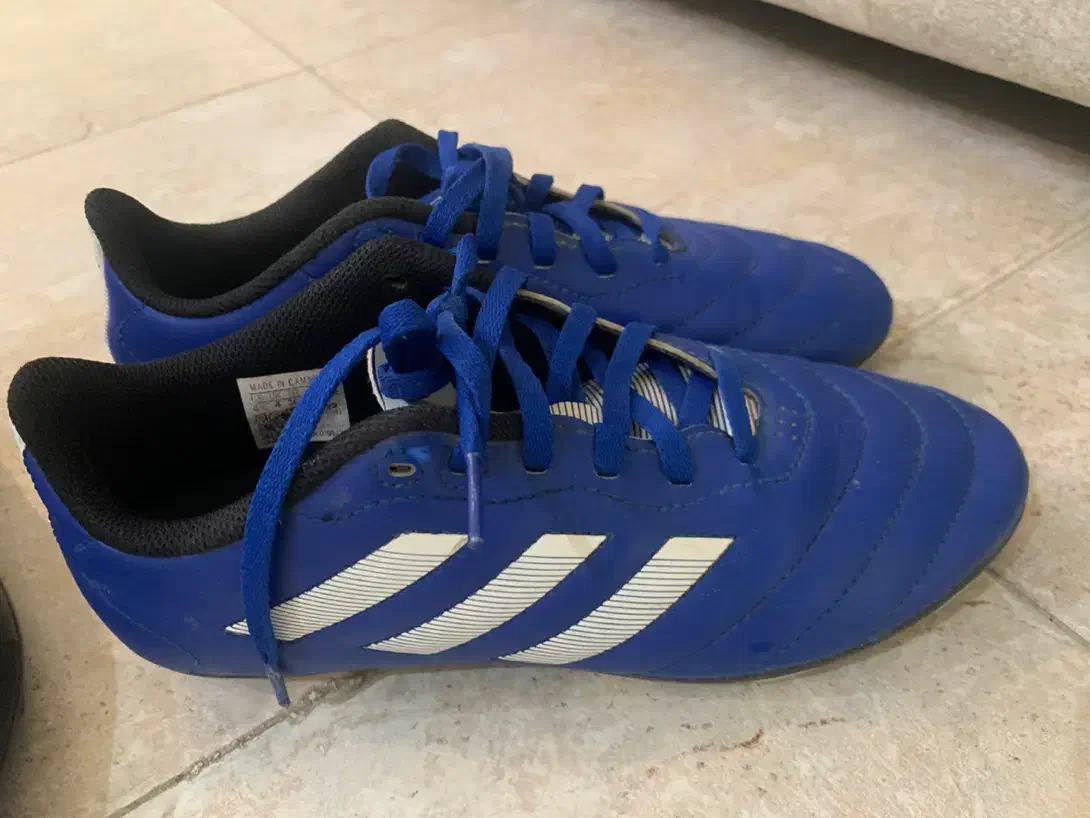 کفش فوتبال زمین چمن adidas اصل سایز ۳۶،۵|کیف، کفش، کمربند|شیراز, پارک آزادی|دیوار
