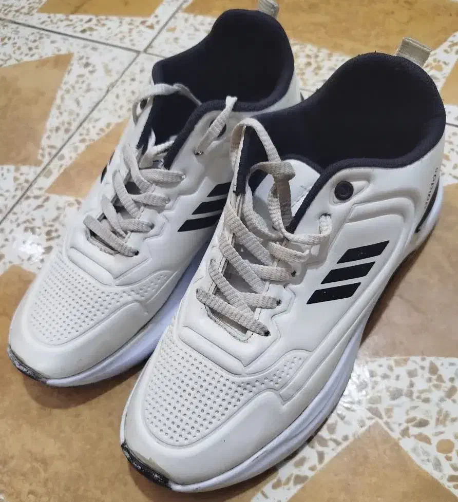 کفش سایز ۳۸|کیف، کفش، کمربند|برازجان, |دیوار