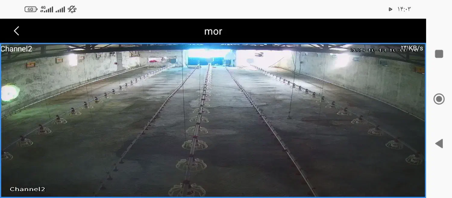 فروشی|فروش دفتر صنعتی، کشاورزی، تجاری|راور, |دیوار