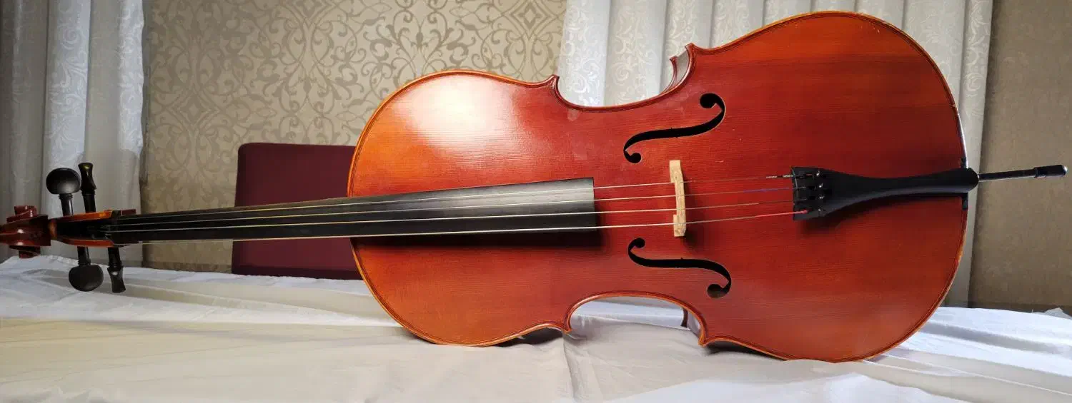 ویلنسل - cello|ویولن|مشهد, موسوی قوچانی|دیوار