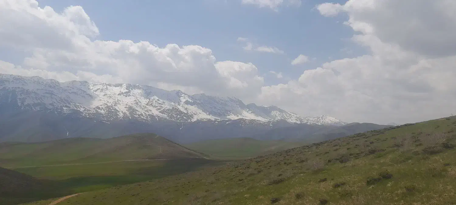 راهنمایی|فعالیت داوطلبانه|اصفهان, ارغوانیه|دیوار