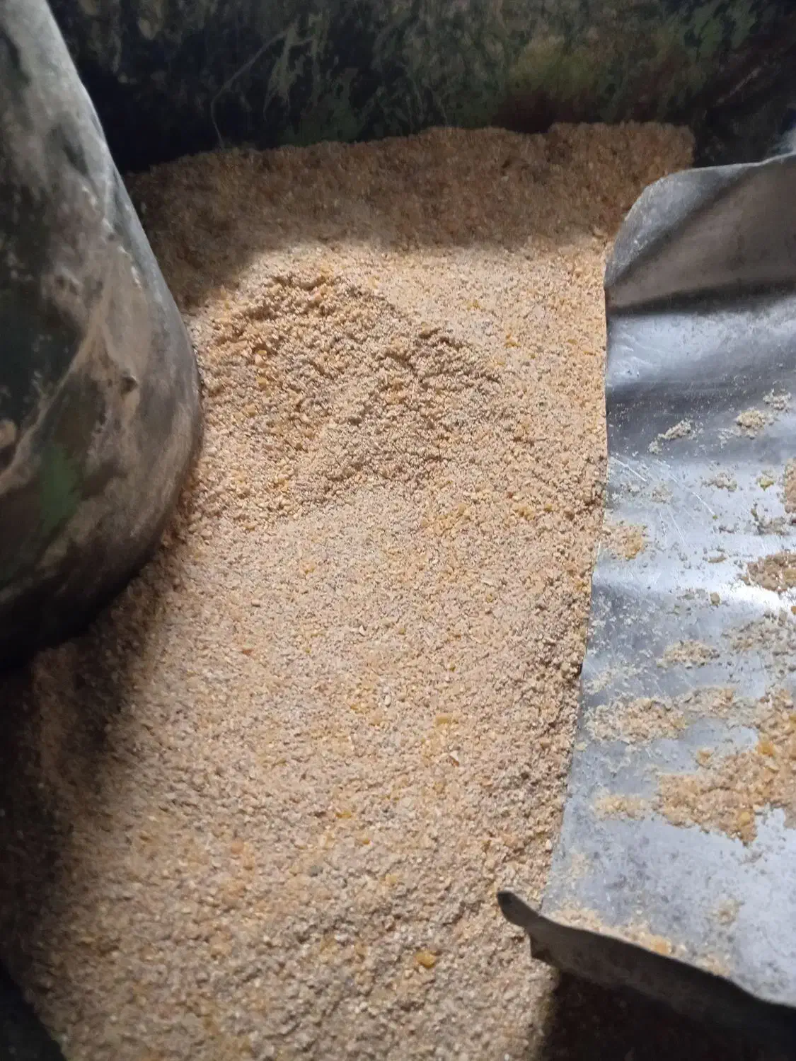 دان مرغ و بوقلمون|عمده‌فروشی|فرمهین, |دیوار