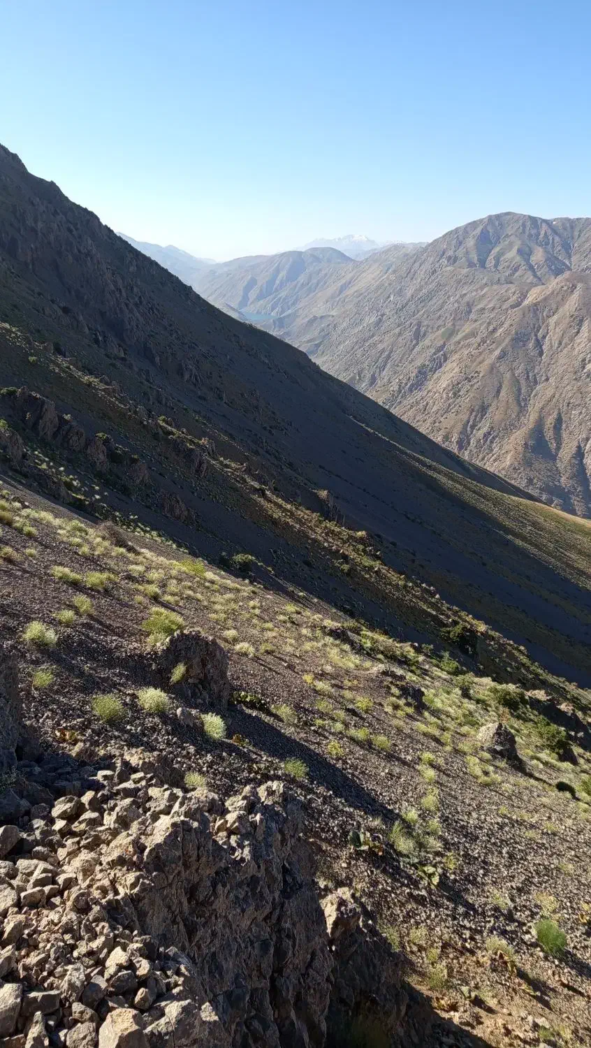 کارت ملی منوچهر محمدی حاجیوند گم شده|اشیا|دورود, |دیوار