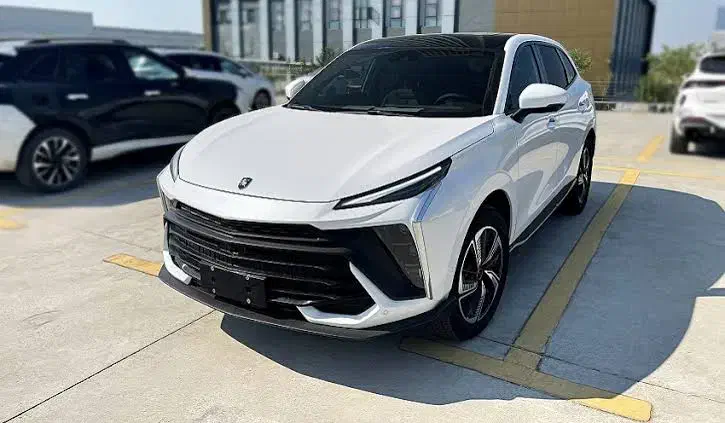 واردات و پخش لوازم یدکی لاماری ، دیگنیتی و فیدلیتی|قطعات یدکی و لوازم جانبی|تهران, بهارستان|دیوار