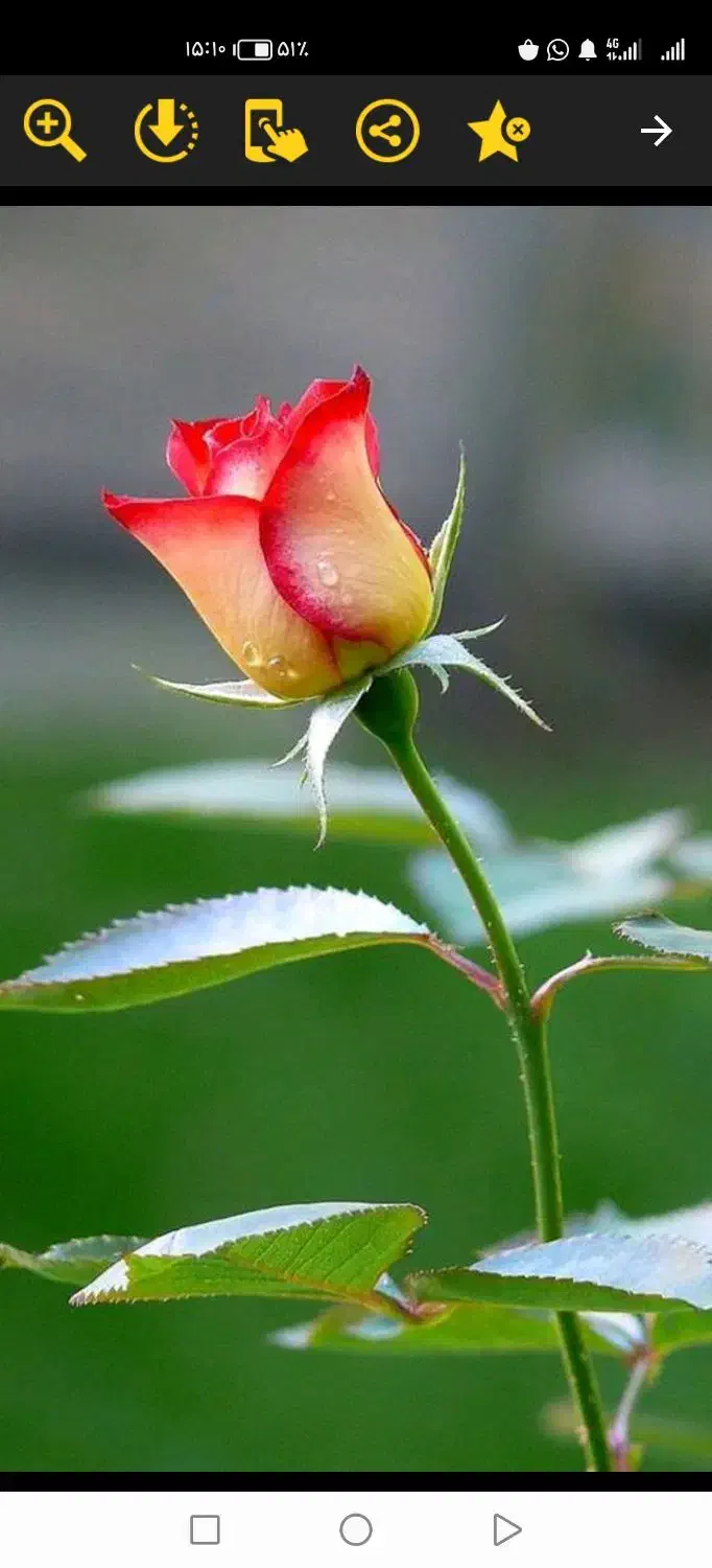 فروش آپارتمان، خیابان مولوی|فروش آپارتمان|قزوین, |دیوار