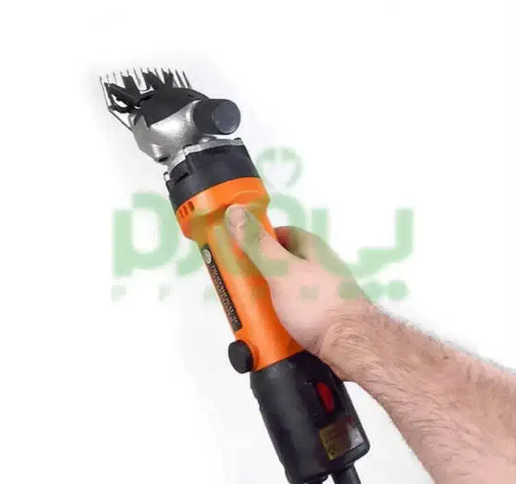 پشم تراش گوسفند|ابزارآلات|رستمآباد, |دیوار