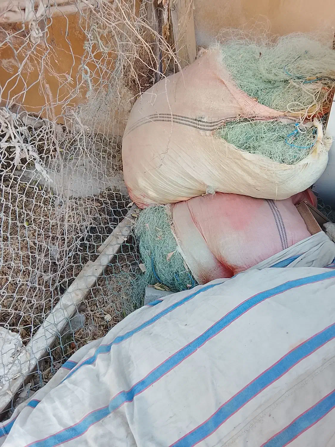 تور ماهیگیری|ماهیگیری|بندر کنگان, |دیوار