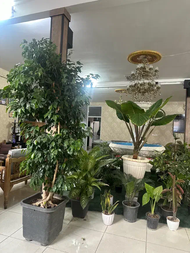 سفره خانه هفت خان|استخدام خدمات فروشگاه و رستوران|ساوه, |دیوار