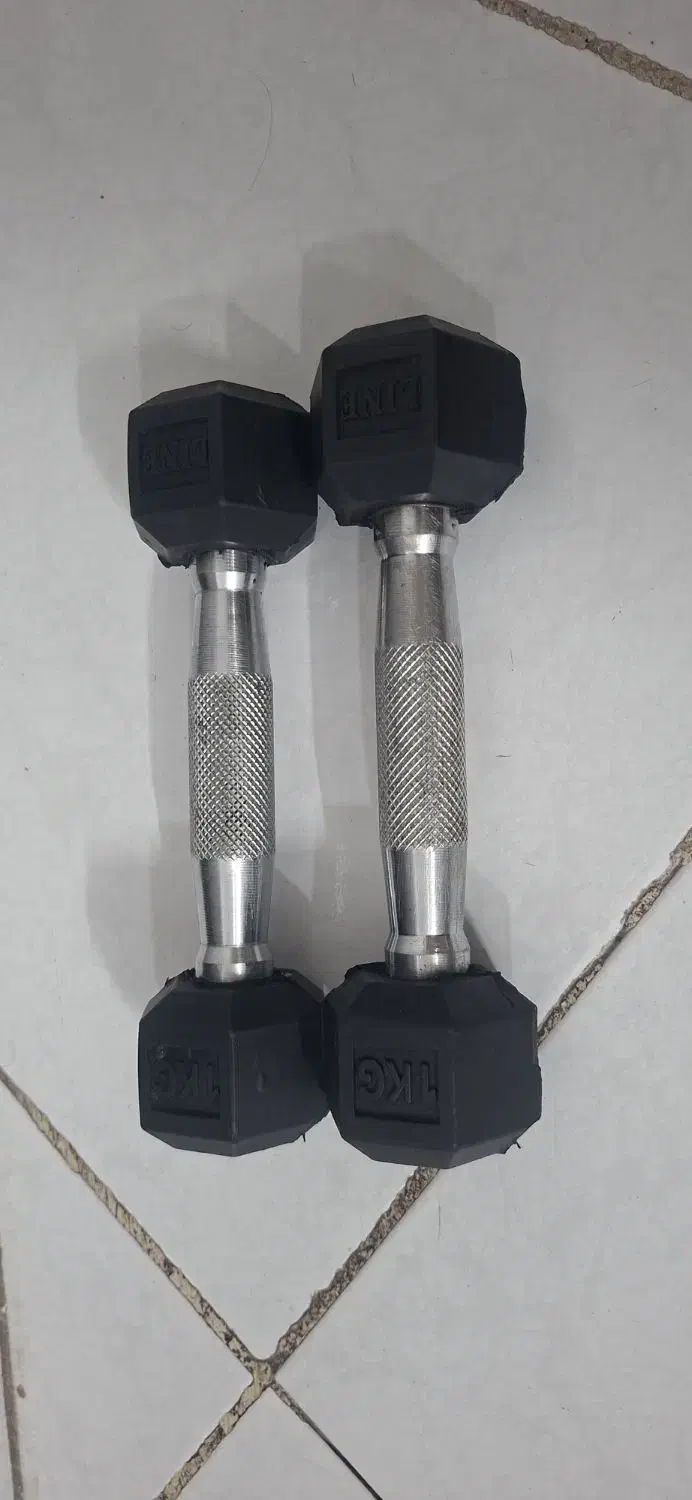 دنبل یک کیلوی|تجهیزات ورزشی|مشهد, شهید بهشتی|دیوار