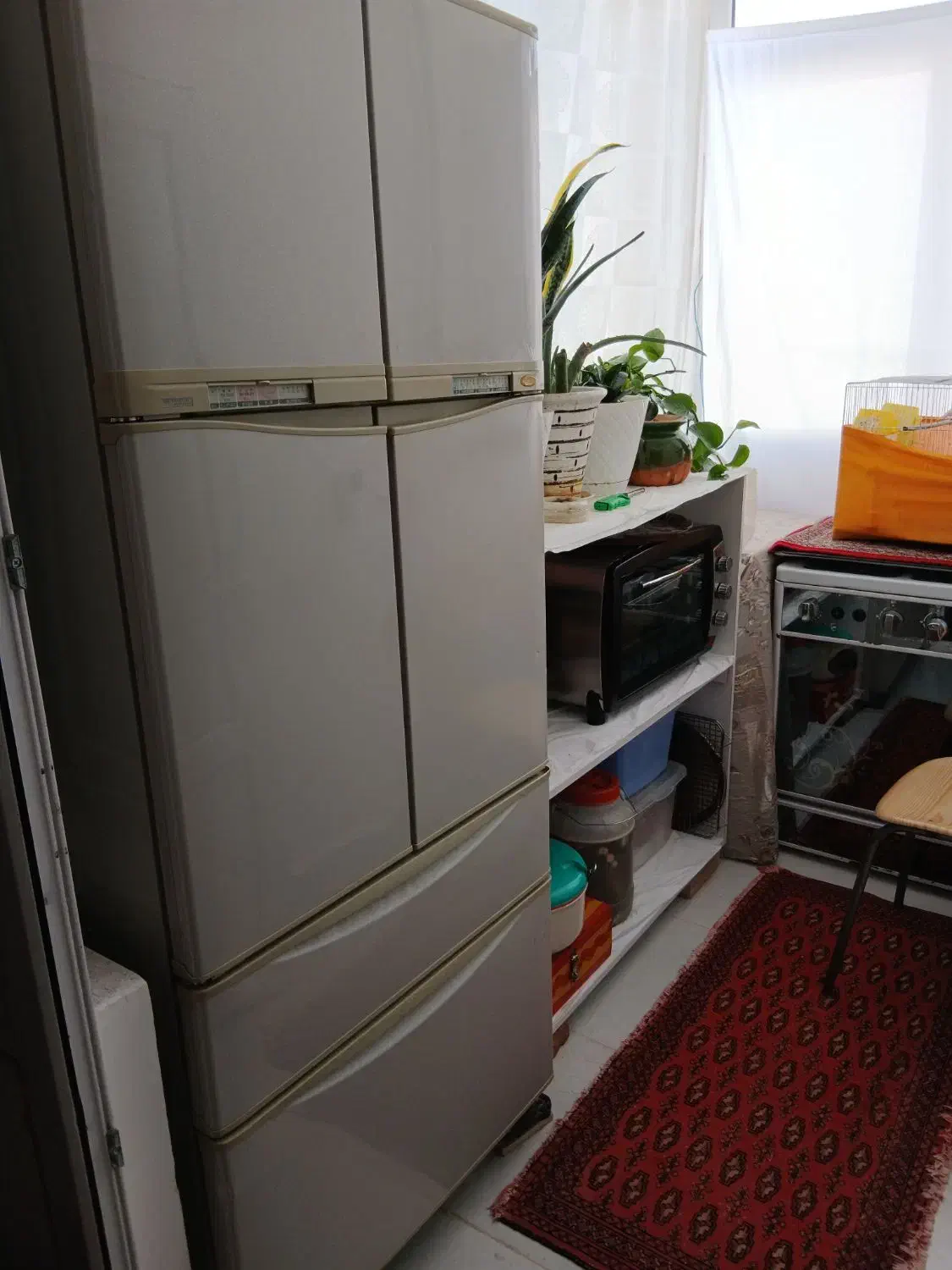 یخچال بیش از ۷۰ سال قدمت  ولی در حد نو بدون برفک|یخچال و فریزر|سهند, |دیوار