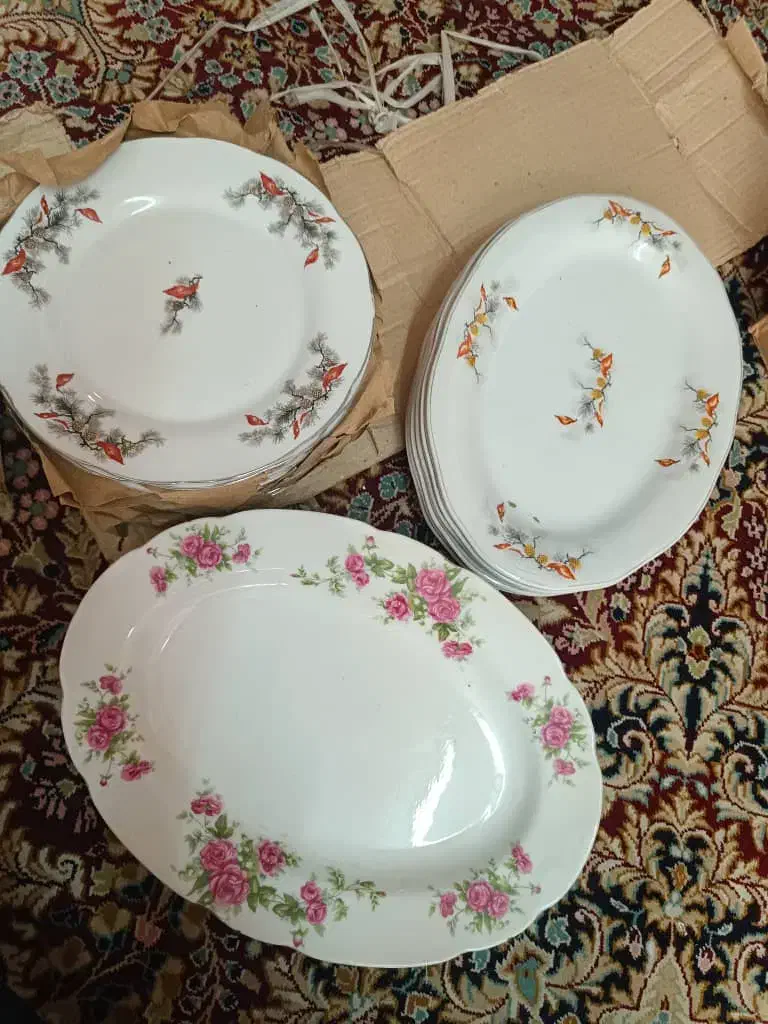 ظروف چینی|ظروف سرو و پذیرایی|شیراز, زرهی|دیوار